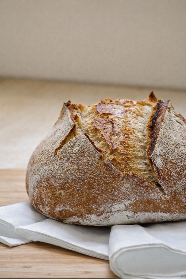 chatgpt image 29 de dez. de 2025, 17 06 17