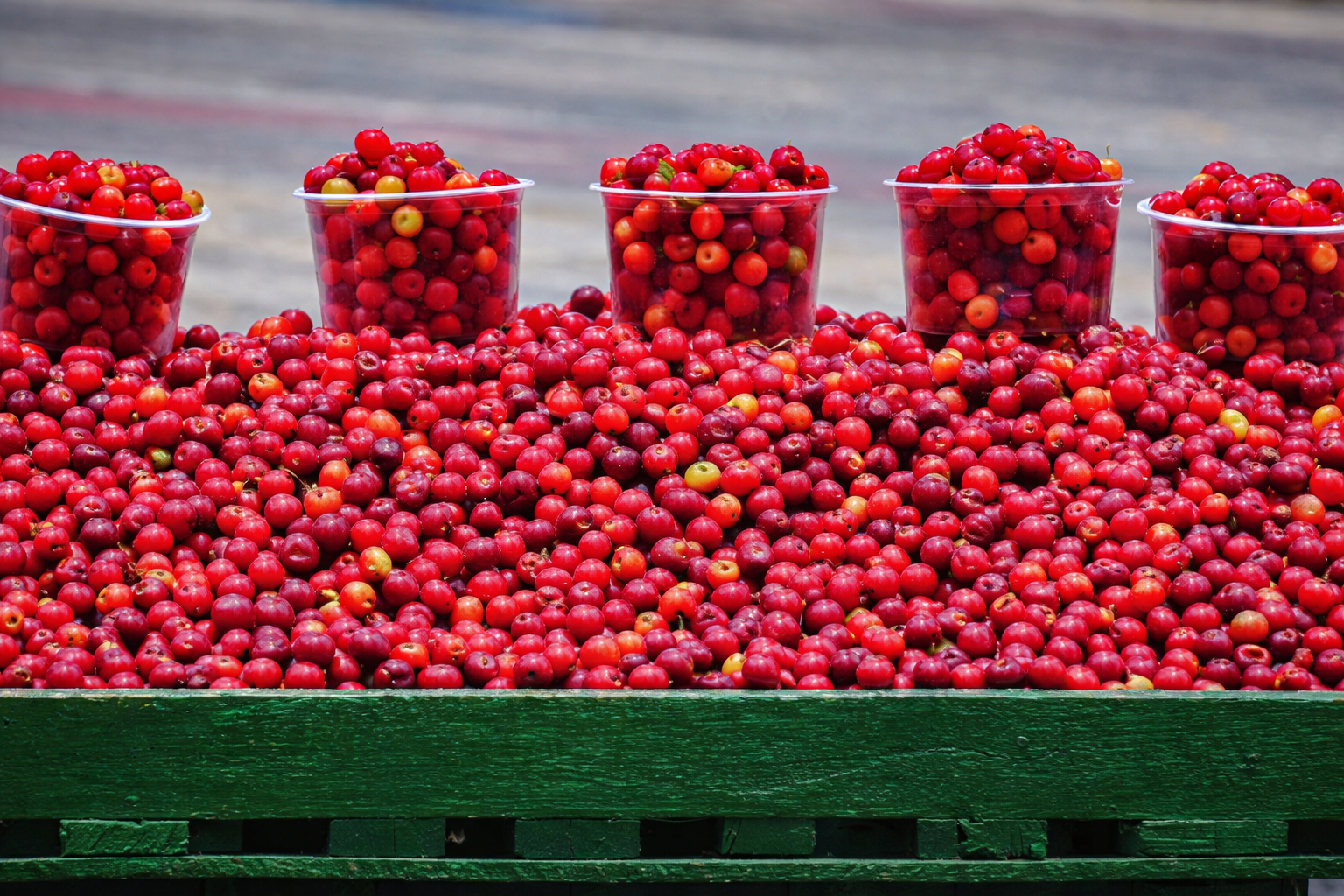 chatgpt image 29 de dez. de 2025, 18 49 23