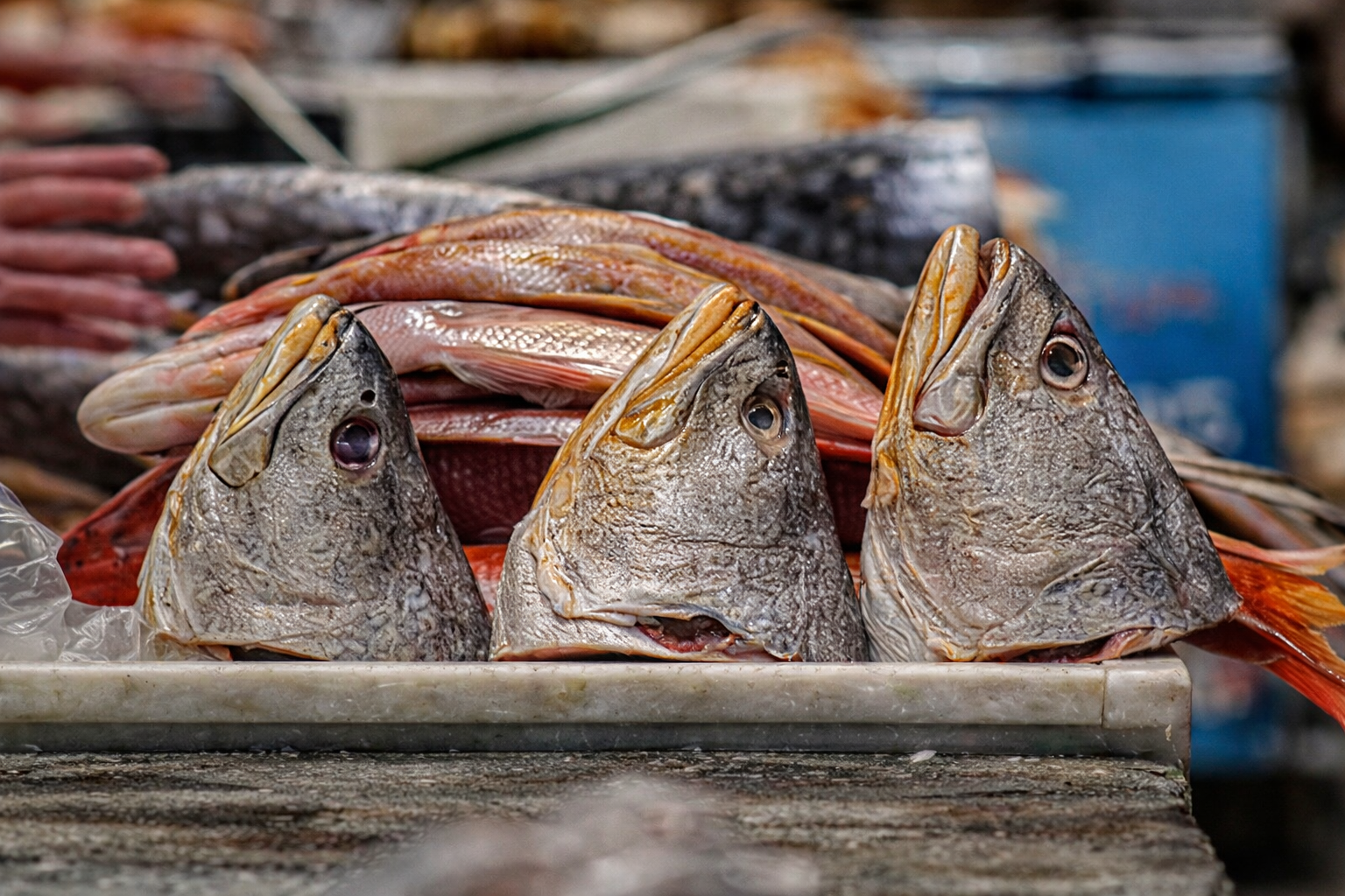 chatgpt image 29 de dez. de 2025, 18 49 26