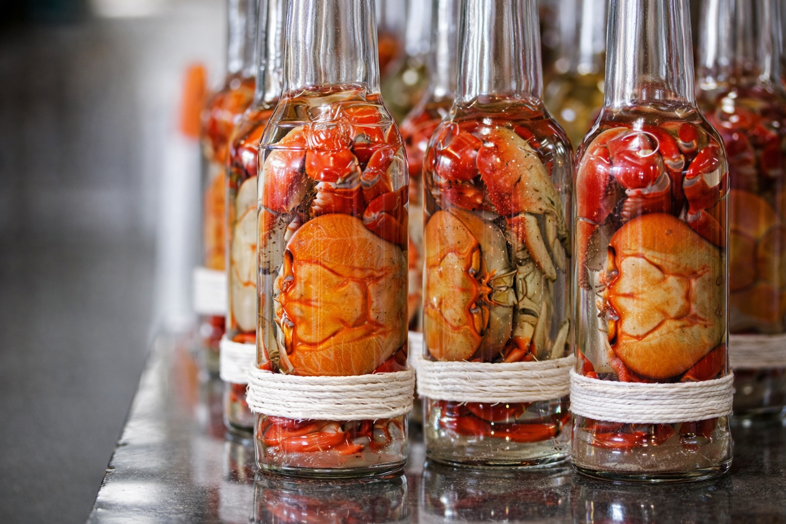 chatgpt image 29 de dez. de 2025, 18 51 59