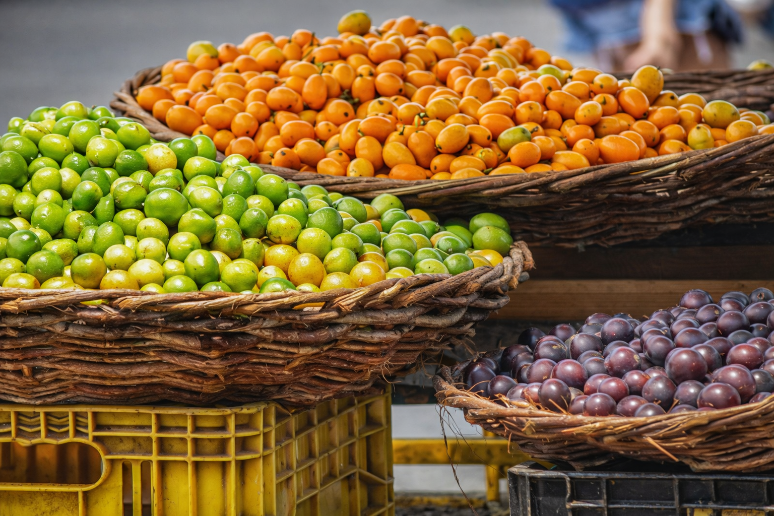 chatgpt image 29 de dez. de 2025, 18 54 12