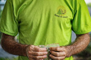 chatgpt image 29 de dez. de 2025, 19 24 04