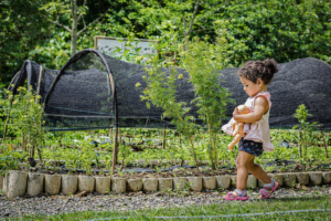 chatgpt image 29 de dez. de 2025, 20 04 45