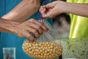 chatgpt image 29 de dez. de 2025, 20 04 47