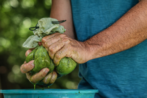 chatgpt image 29 de dez. de 2025, 20 04 52