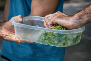 chatgpt image 29 de dez. de 2025, 20 11 48