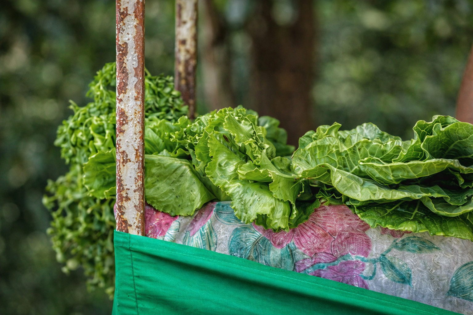 chatgpt image 29 de dez. de 2025, 20 43 13