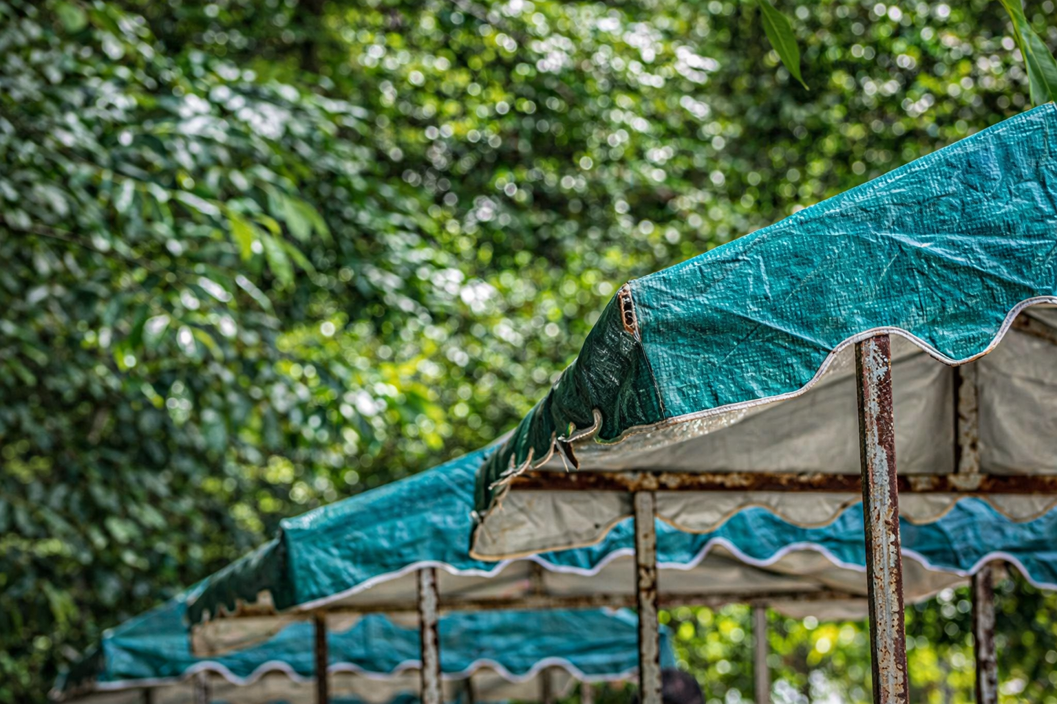 chatgpt image 29 de dez. de 2025, 20 45 19