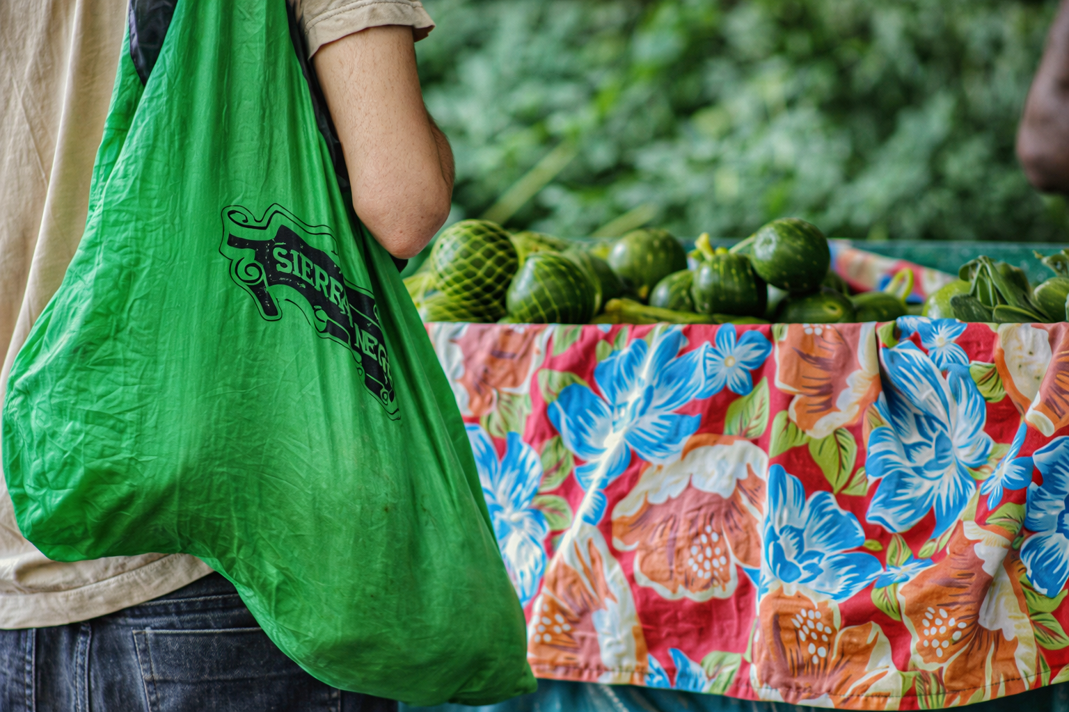 chatgpt image 29 de dez. de 2025, 20 45 23