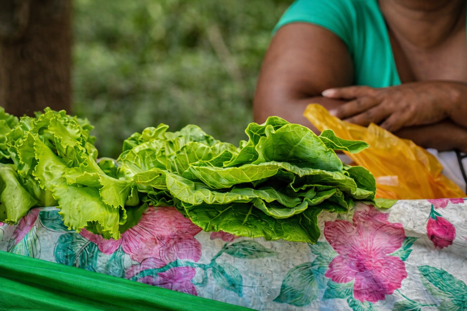 chatgpt image 29 de dez. de 2025, 20 47 51