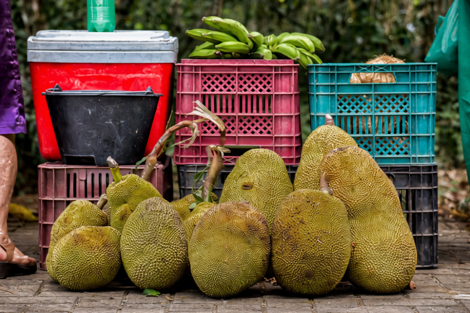 chatgpt image 29 de dez. de 2025, 21 33 43