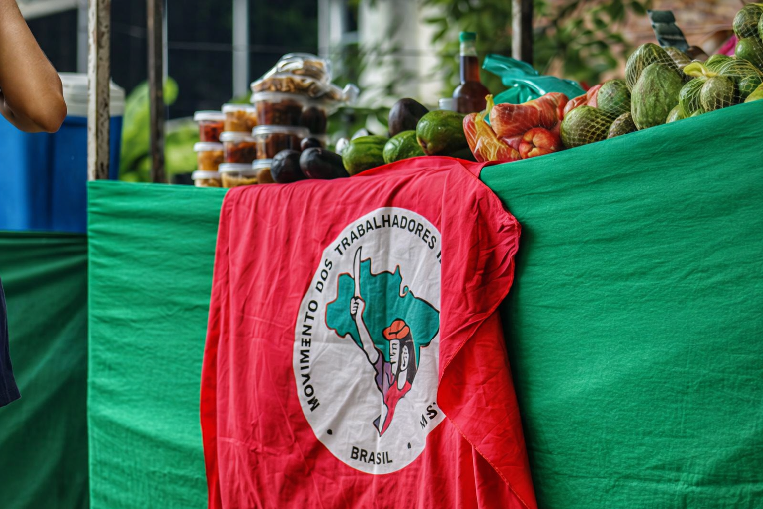 chatgpt image 29 de dez. de 2025, 21 33 46