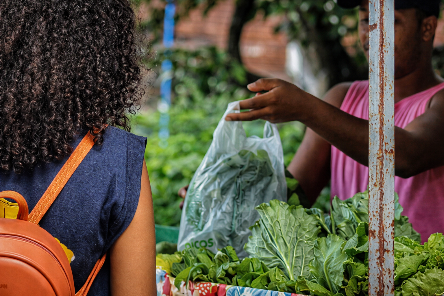 chatgpt image 29 de dez. de 2025, 21 36 54