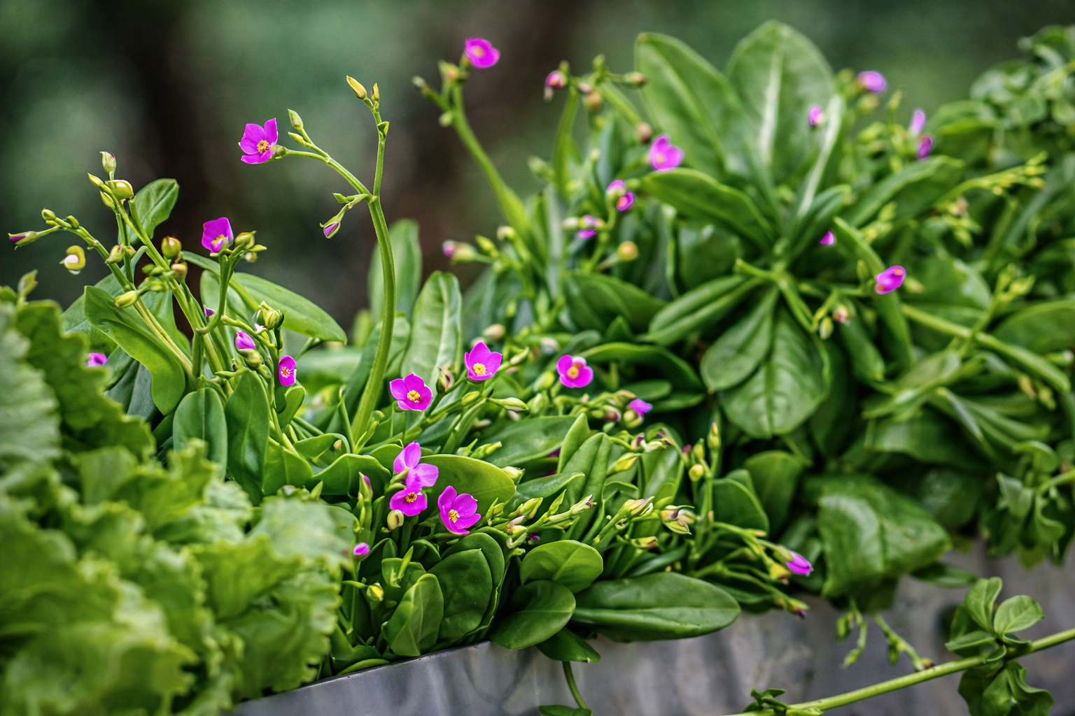 chatgpt image 29 de dez. de 2025, 21 43 42