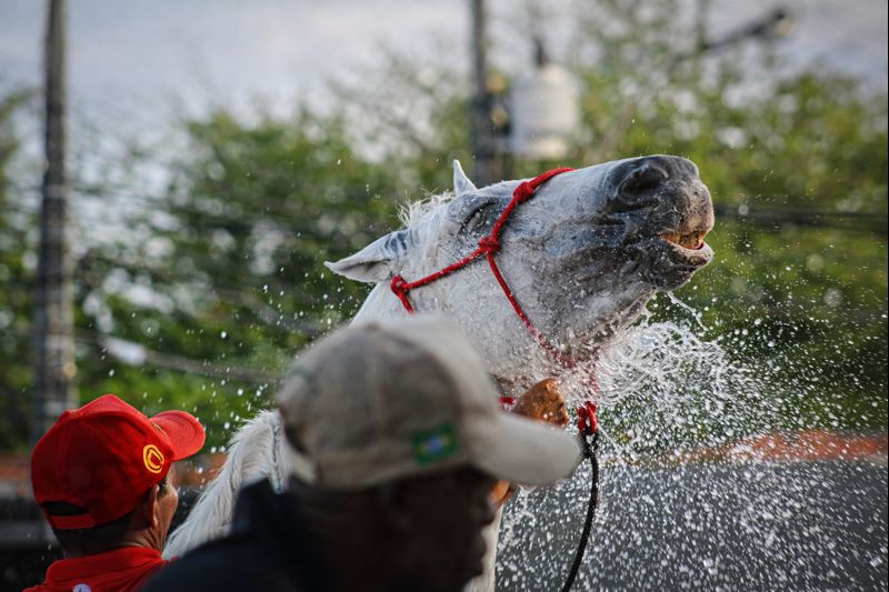 chatgpt image 30 de dez. de 2025, 09 49 29