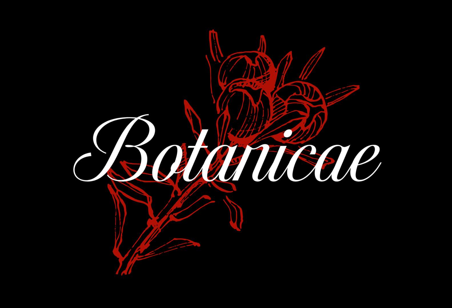 f5d9c93e 520f 4761 9e2e 2d8334e9bb11 rw 1920