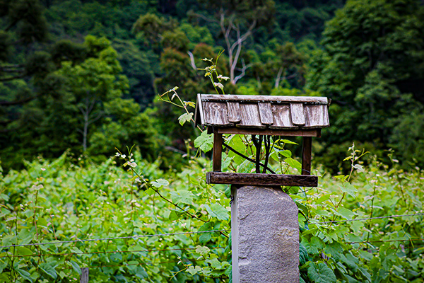 2048a10a ff1f 4b36 ab52 183c61331e37 rw 600