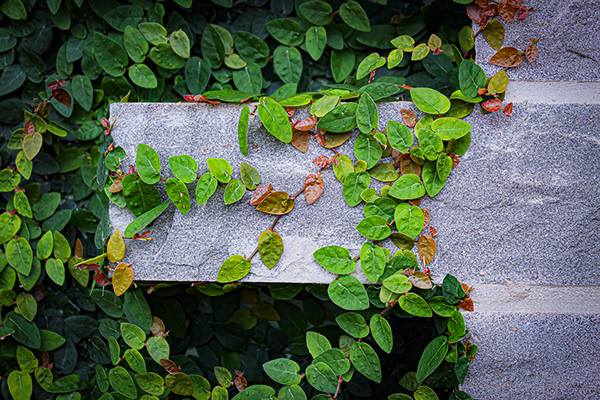 52664d1c b790 4939 8db5 0c30efe4352c rw 600