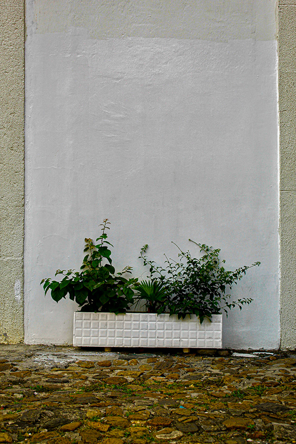 9fd4dccb c69b 4e27 b322 5752ab04d6a9 rw 600