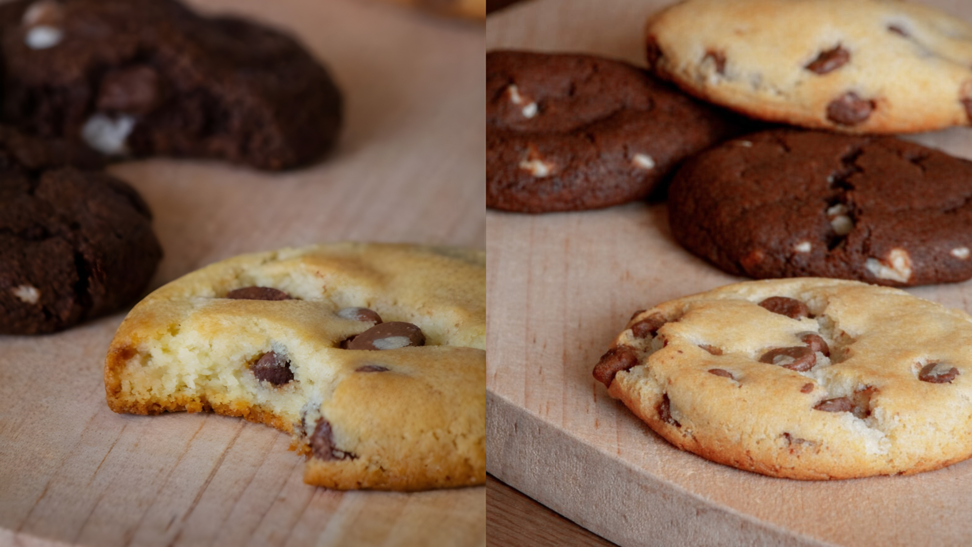 identidade visual (23)